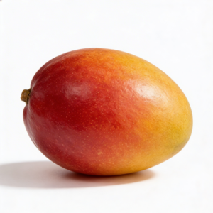 Manga Palmer Vale SF